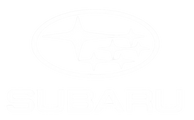 logo-banner-12
