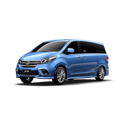 LDV G10